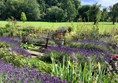 Garden and pond