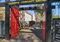 Picture of Calthorpe Community Garden