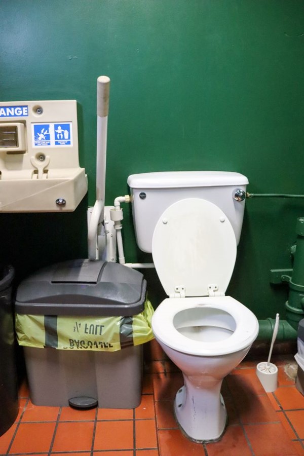 Accessible toilet