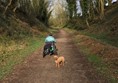 Picture of Tissington Trail