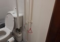 Accessible toilet with red cord