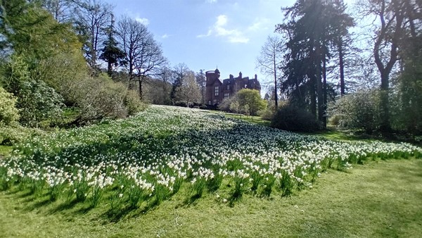 Image of a garden