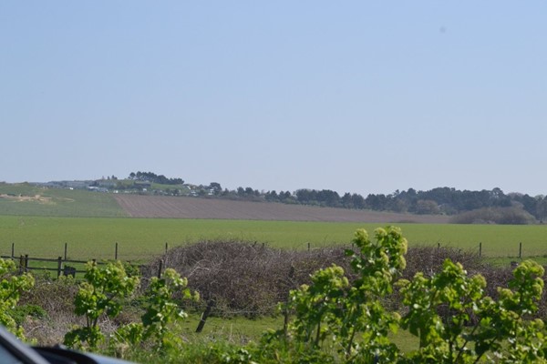 View inland from the Coastal path