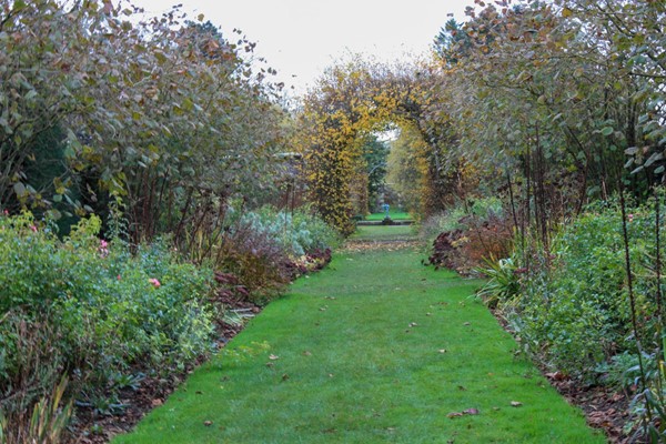 Grass path through the walled gardens.