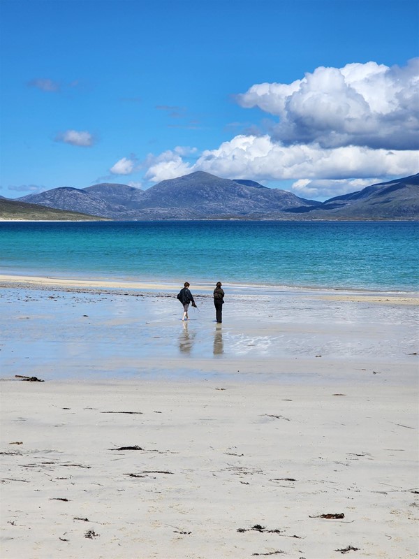 Image of people on the beach