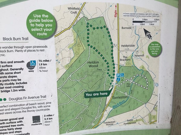 Picture of Torrieston Walks