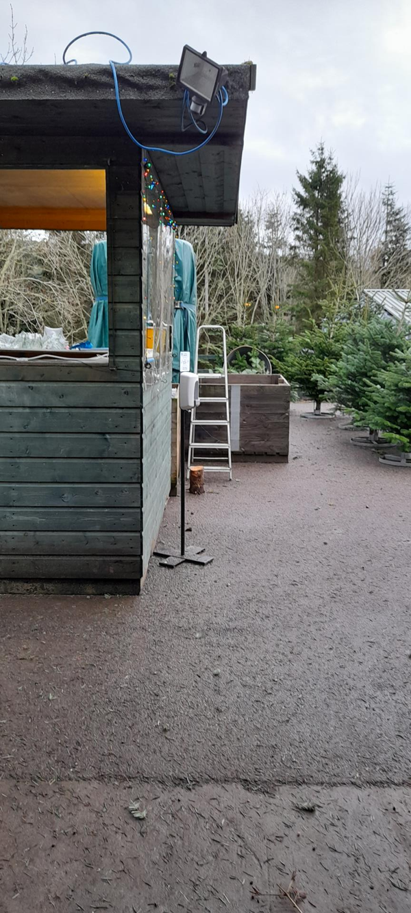 Picture of Black Isle Christmas Trees, Inverness