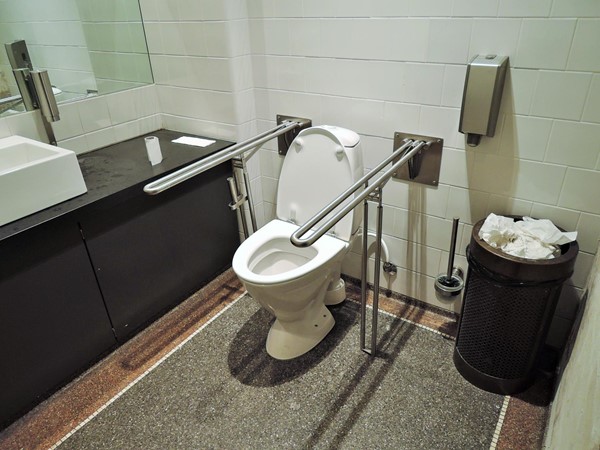 Accessible toilet