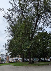 St John's and Penny Pocket Park