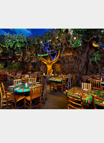 Rainforest Cafe - Disney Springs