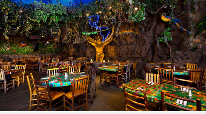 Rainforest Cafe - Disney Springs
