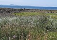 Lovely view over the Forth and the sea from parking area with good facilities