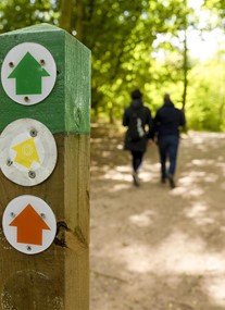 National Trust Foremark
