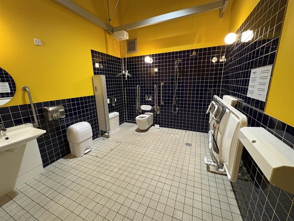 Image of an accessible toilet