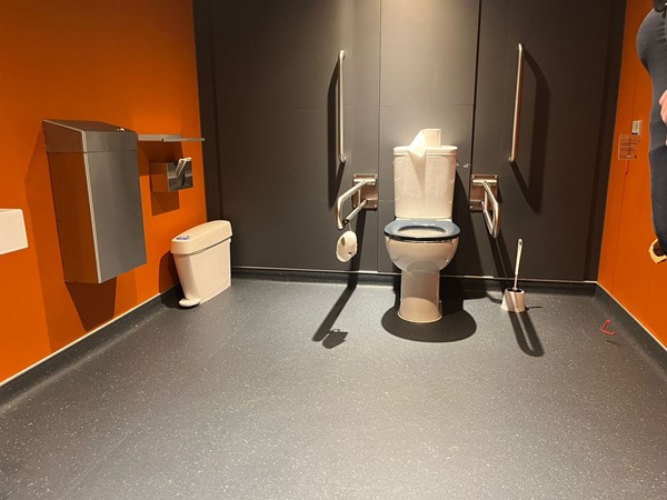 Image showing inside that accessible toilet.