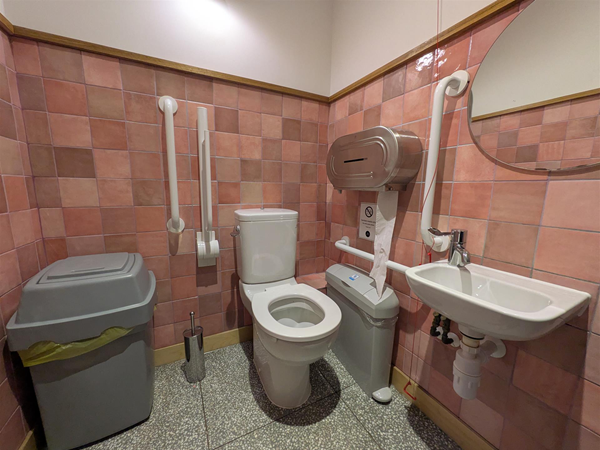 Image of accessible toilet - there is a bin in the transfer space