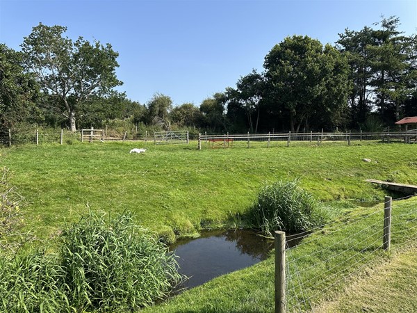 Image of a section of the park