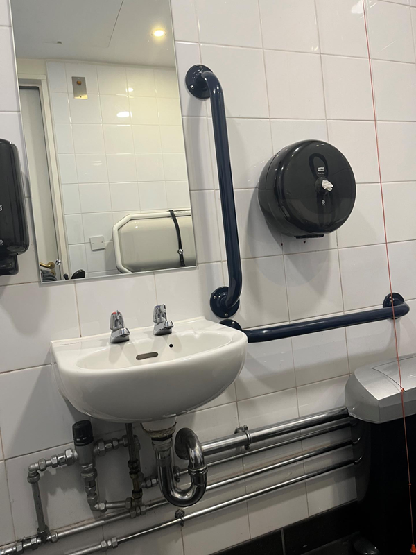 Sink and grabrail