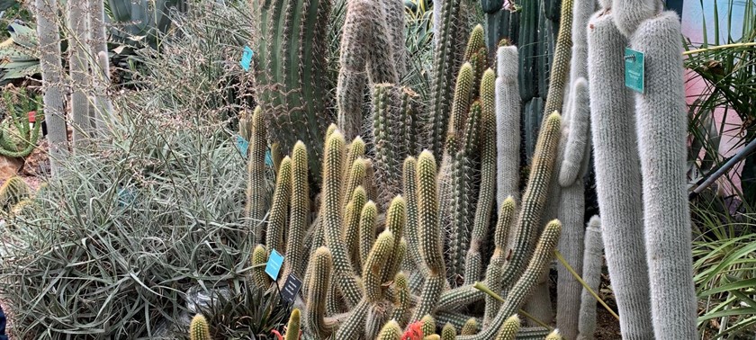 Lullingstone Castle & The World Garden