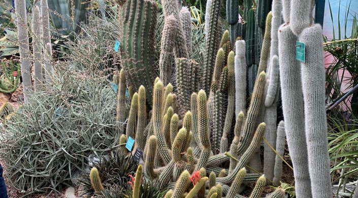 Lullingstone Castle & The World Garden