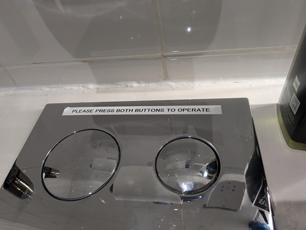 Image of flush buttons in the accessible toilet