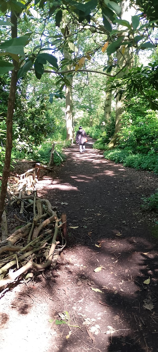 Image of the pathway and sticks at the side.