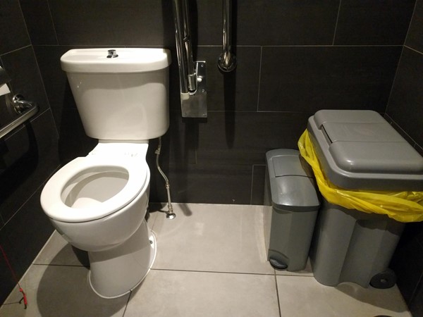 Photo of the accessible toilet.