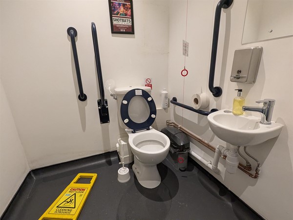 Image of accessible toilet