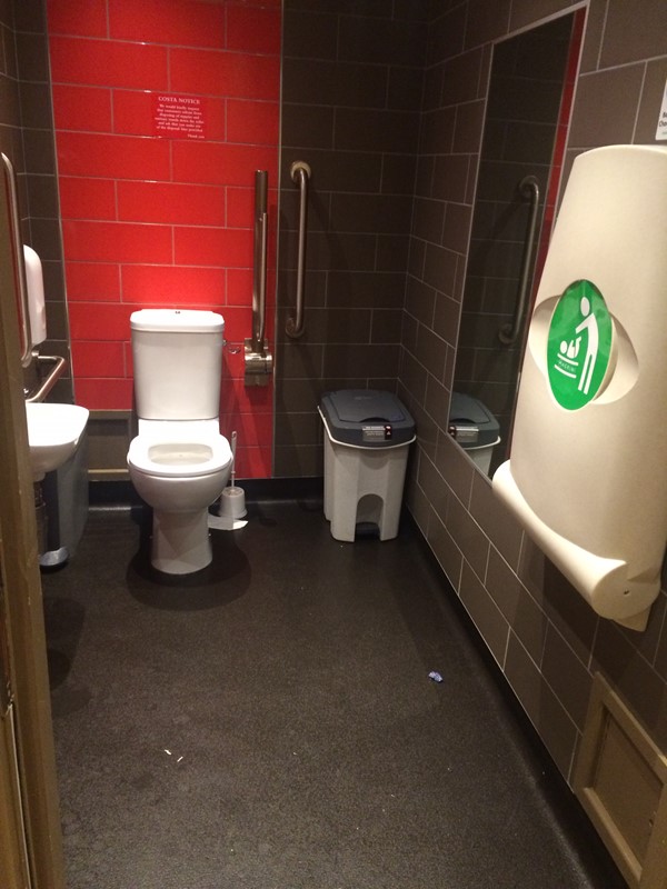 A photo of the accessible toilet