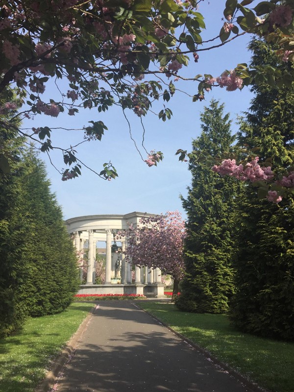 Picture of Cardiff Civic Centre, Cathays Park
