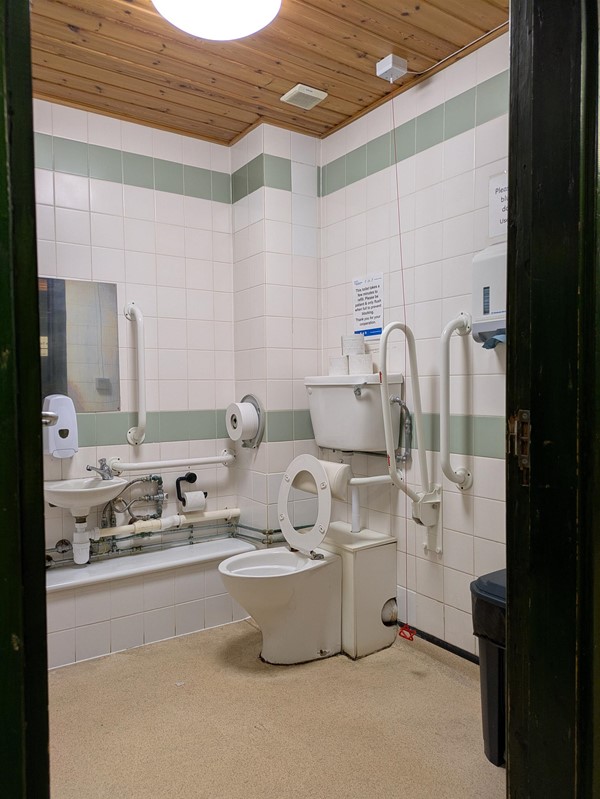 Image of accessible toilet