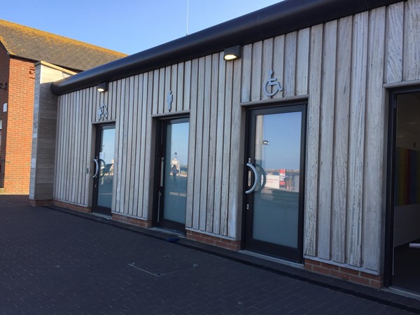 Disabled toilet and changing-places toilet
