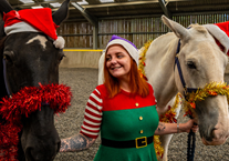Festive breaks