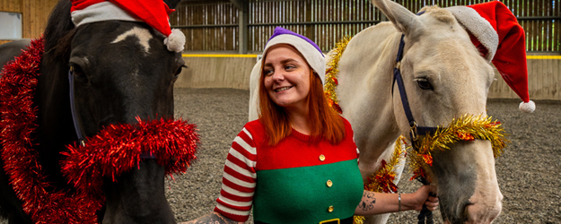 Festive breaks article image