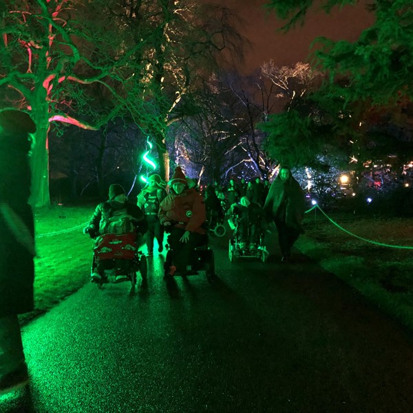 Picture of Christmas lights at Edinburgh Botanics