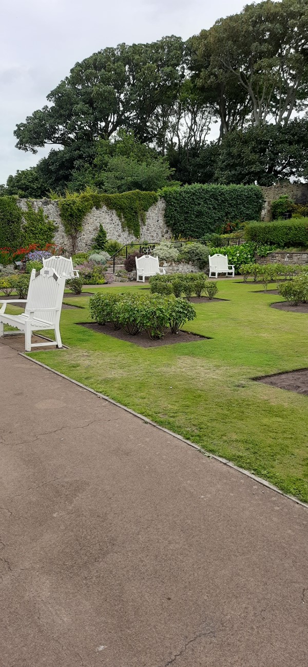 Lodge Grounds
