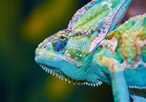 Disabled Access Day at Tropical World, Leeds