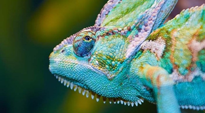 Disabled Access Day at Tropical World, Leeds