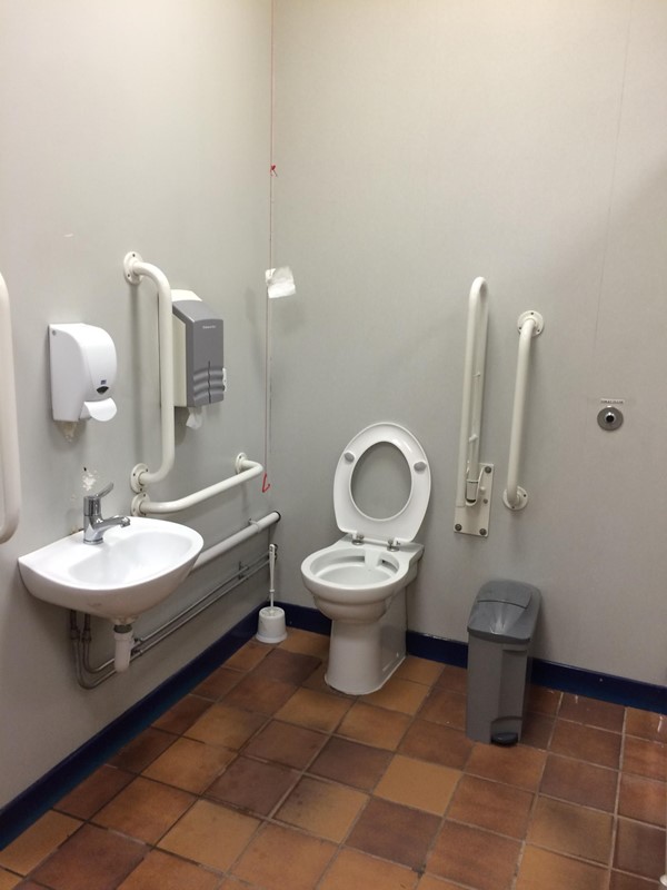 Photo of the toilet.