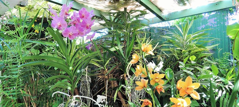 Jardin de Orquideas de Sitio Litre