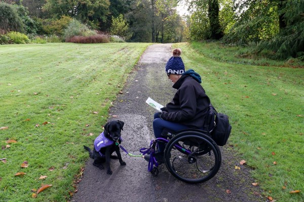 Lady in wheelchair with assistance dog, sitting on a path, reading a map.