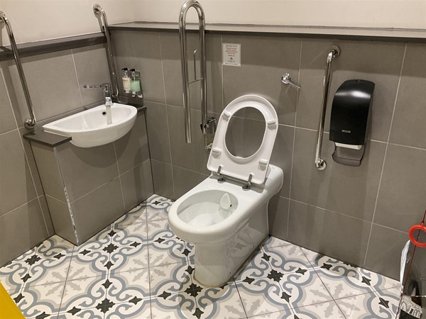 Image of an accessible toilet