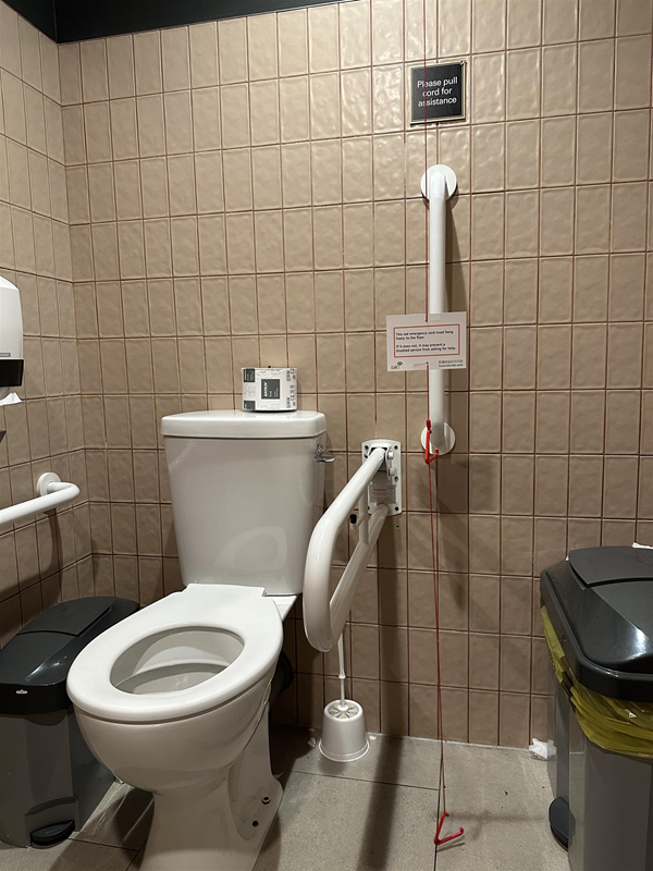 Image of accessible toilet