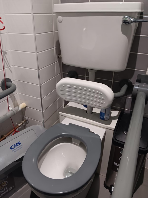 Image of a toilet and a grab rail