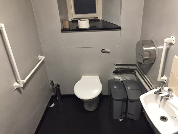 Picture of Dragonfly Cocktail Bar - Accessible Toilet Angle 1