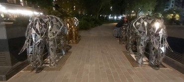 Elephant Park