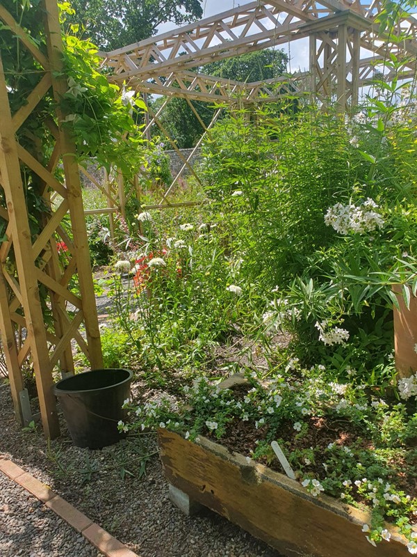 A picture of the garden from the entrance