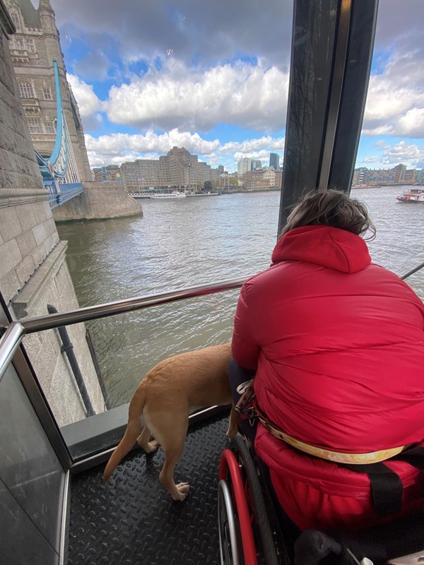 Image of the Tower Bridge view