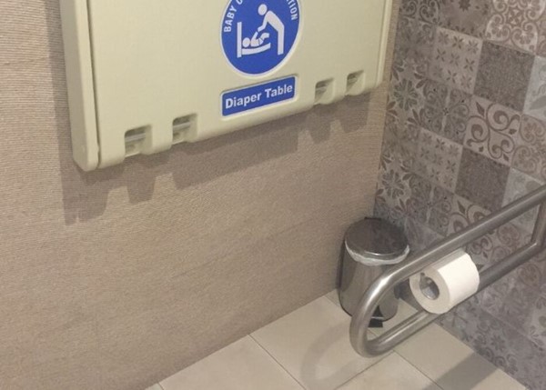 Disabled access toilet with support bar