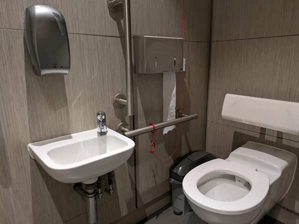 Image of accessible toilet